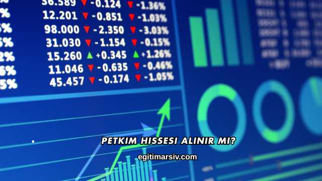 Petkim Hissesi Alınır mı?