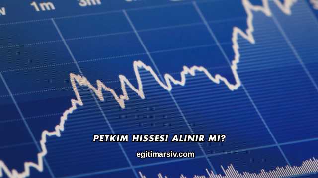 Petkim Hissesi Alınır mı?