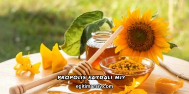 Propolis Faydalı mı?