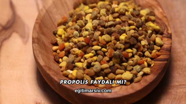 Propolis Faydalı mı?