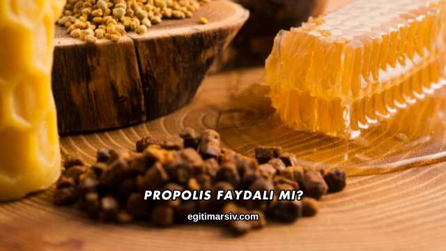 Propolis Faydalı mı?