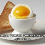 Rafadan Yumurta Yemek Faydalı mı?