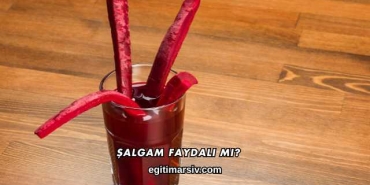 Şalgam Faydalı mı?