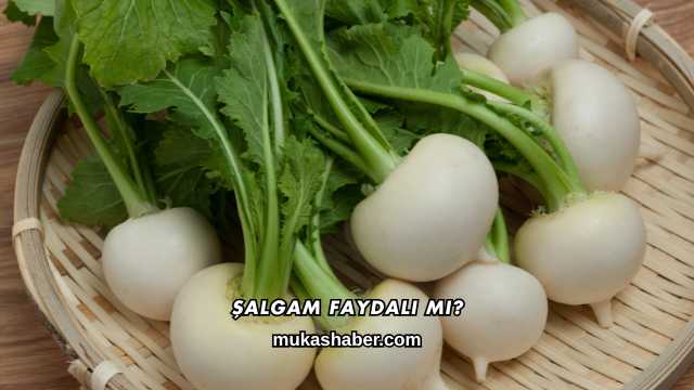 Şalgam Faydalı mı?