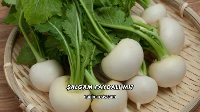 Şalgam Faydalı mı?