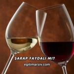 Şarap Faydalı mı?