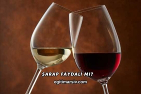 Şarap Faydalı mı?