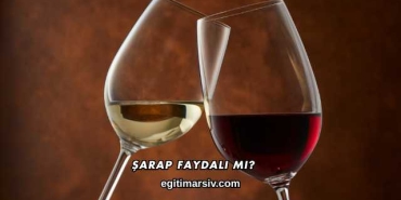 Şarap Faydalı mı?