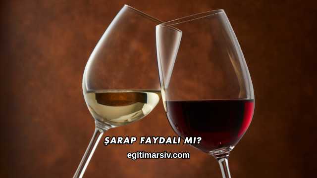 Şarap Faydalı mı?