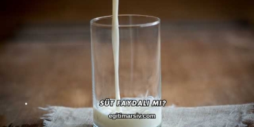 Süt Faydalı mı?