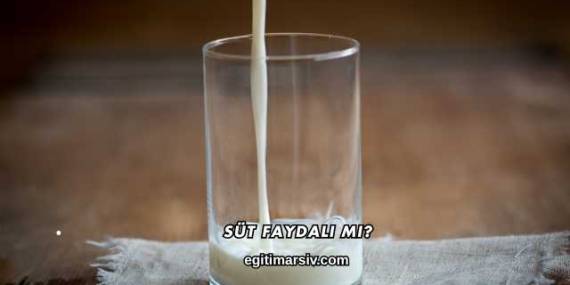 Süt Faydalı mı?