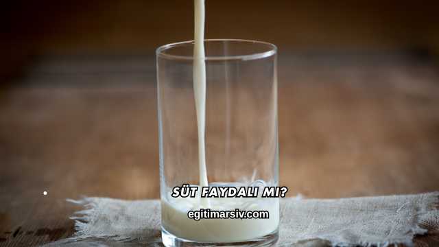 Süt Faydalı mı?