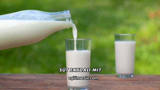 Süt Faydalı mı?