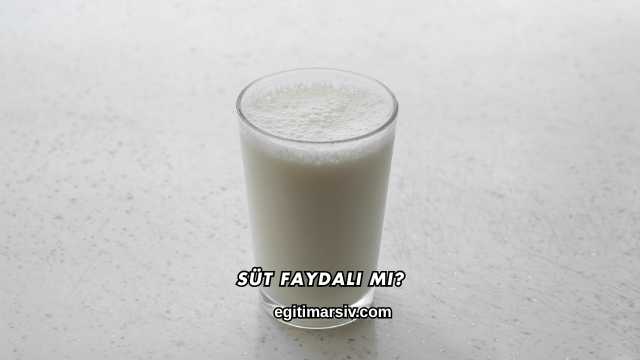 Süt Faydalı mı?