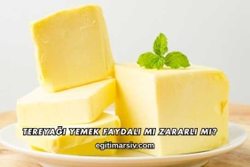 Tereyağı Yemek Faydalı mı Zararlı mı?