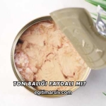 Ton Balığı Faydalı mı?