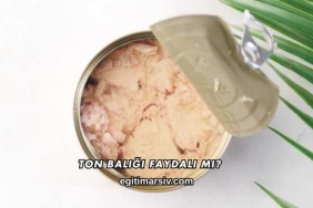 Ton Balığı Faydalı mı?