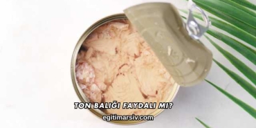 Ton Balığı Faydalı mı?
