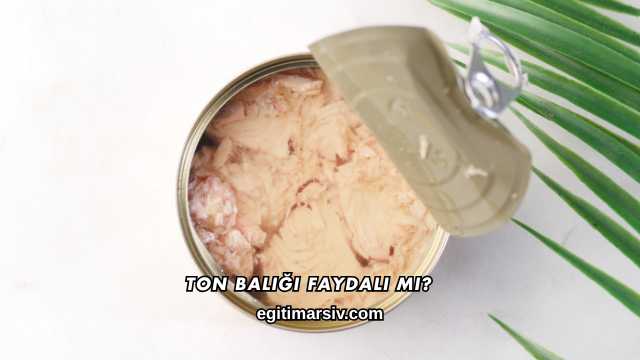Ton Balığı Faydalı mı?
