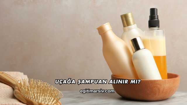 Uçağa Şampuan Alınır mı?