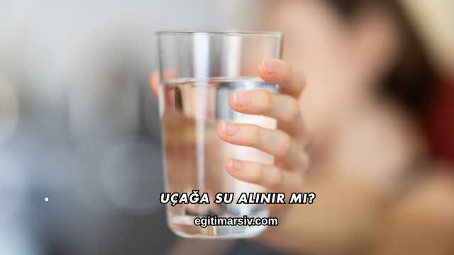 Uçağa Su Alınır mı?