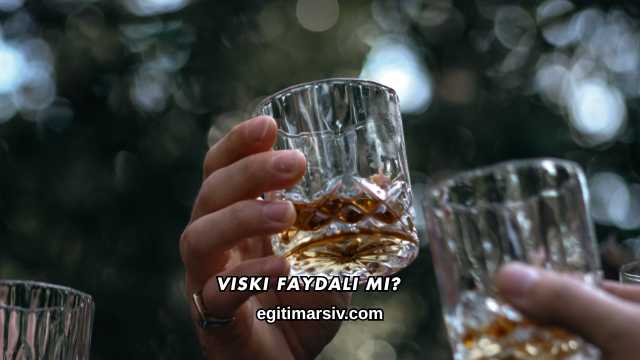Viski Faydalı mı?