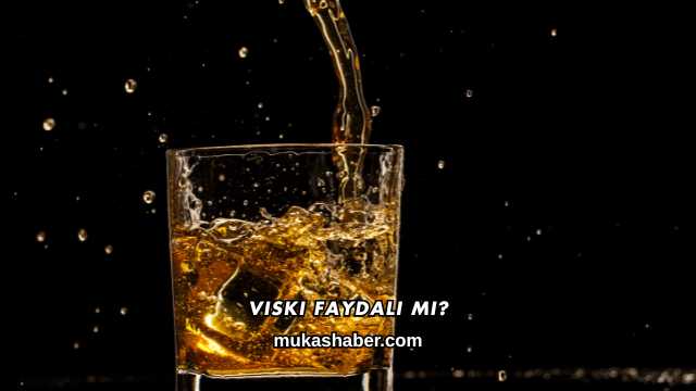 Viski Faydalı mı?
