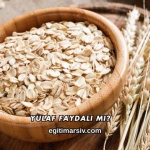 Yulaf Faydalı mı?