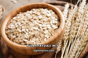 Yulaf Faydalı mı?