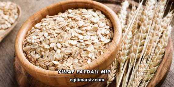 Yulaf Faydalı mı?