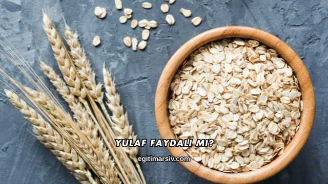 Yulaf Faydalı mı?