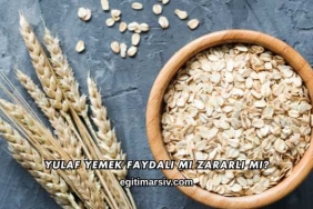 Yulaf Yemek Faydalı mı Zararlı mı?
