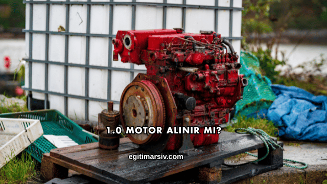 1.0 Motor Alınır mı?