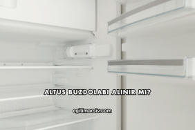 Altus Buzdolabı Alınır mı?