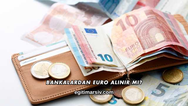 Bankalardan Euro Alınır mı?