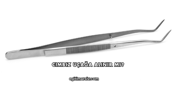 Cımbız Uçağa Alınır mı?