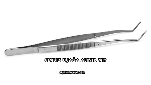 Cımbız Uçağa Alınır mı?