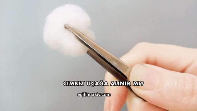 Cımbız Uçağa Alınır mı?