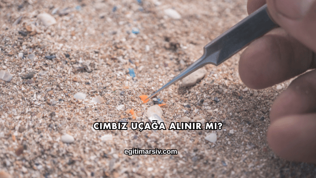 Cımbız Uçağa Alınır mı?