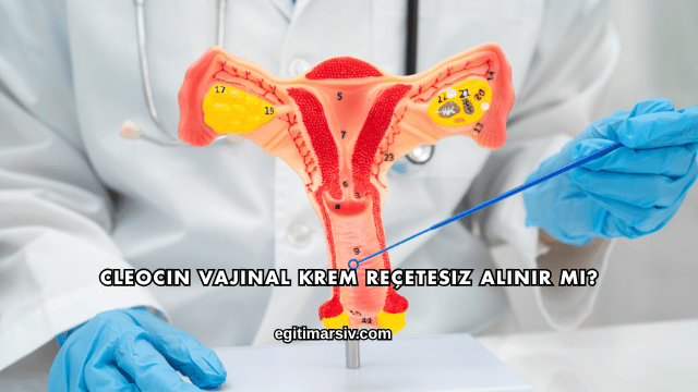 Cleocin Vajinal Krem Reçetesiz Alınır mı?