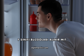 F Sınıfı Buzdolabı Alınır mı?