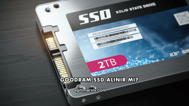 Goodram SSD Alınır mı?