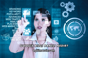 Google Bilgi Paneli Nedir?