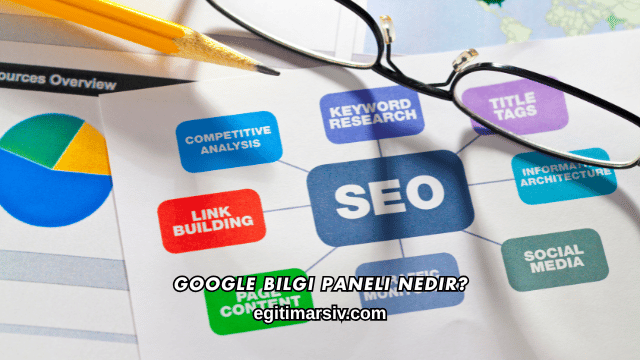 Google Bilgi Paneli Nedir?