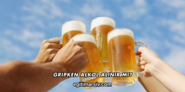 Gripken Alkol Alınır mı?