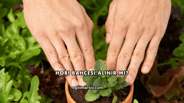 Hobi Bahçesi Alınır mı?