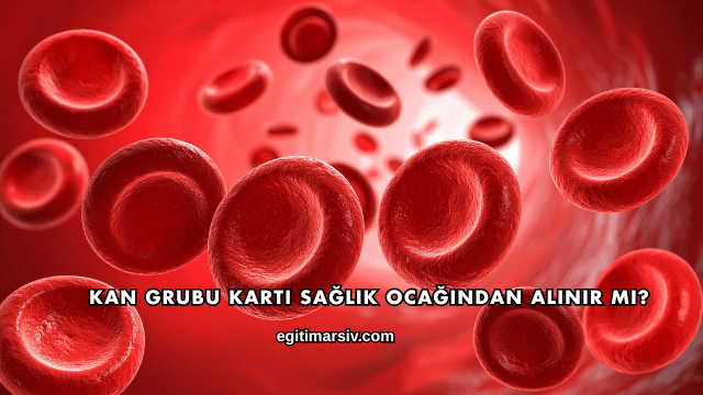 Kan Grubu Kartı Sağlık Ocağından Alınır mı?