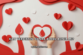 Kan Verdikten Sonra Alkol Alınır mı?