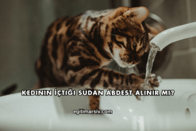 Kedinin İçtiği Sudan Abdest Alınır mı?