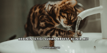 Kedinin İçtiği Sudan Abdest Alınır mı?